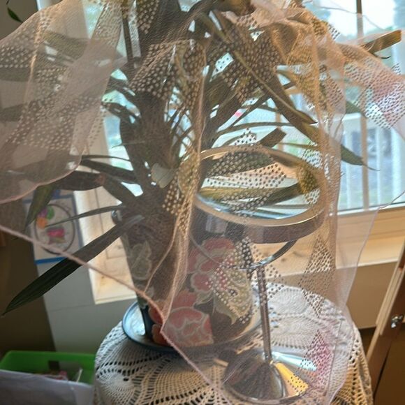 Polka Dots 29”Square Powder Pink Sheer Scarf - Picture 6 of 10